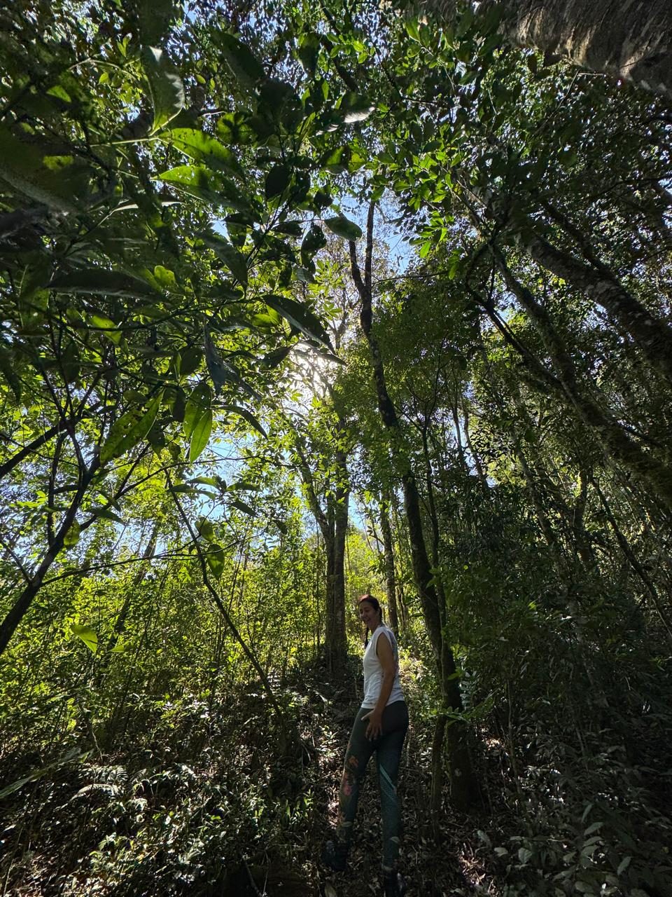 Área Externa e Trilhas na Floresta