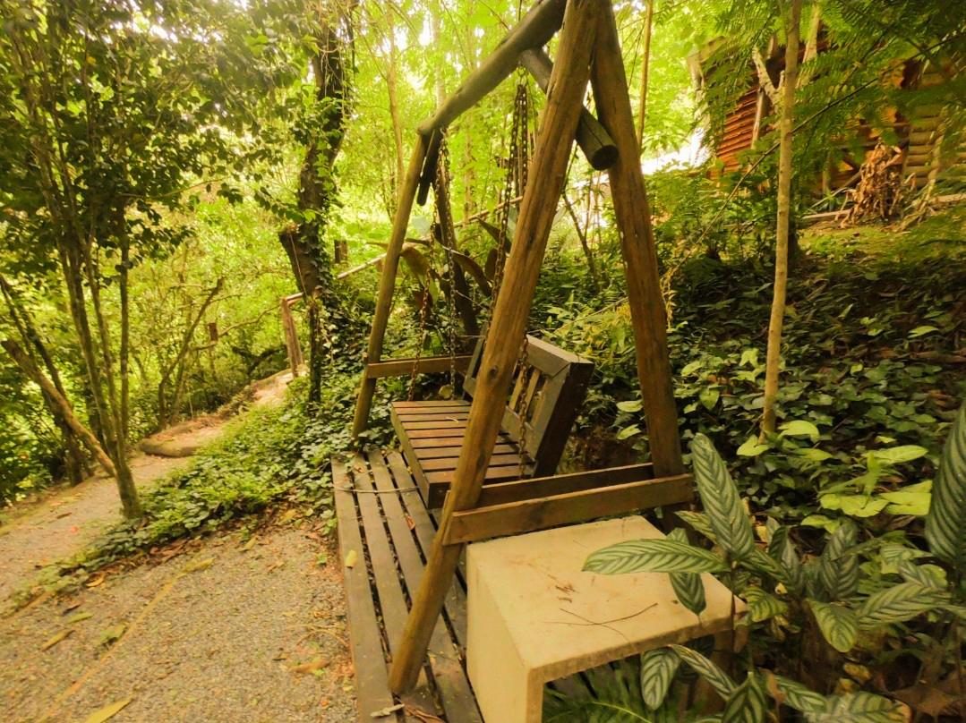 Área Externa e Trilhas na Floresta
