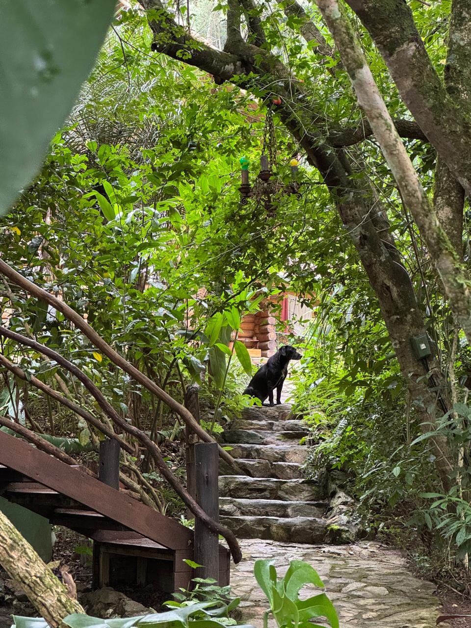 Área Externa e Trilhas na Floresta