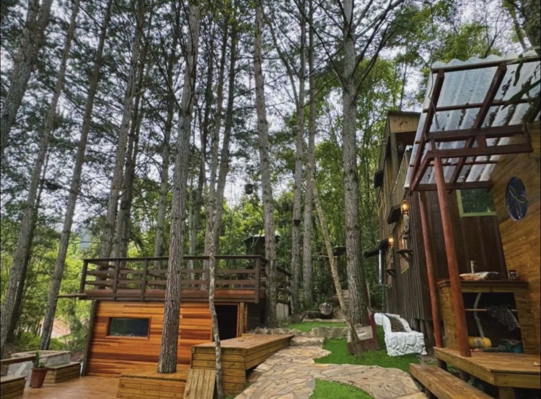 Fachada da Sauna entre as árvores