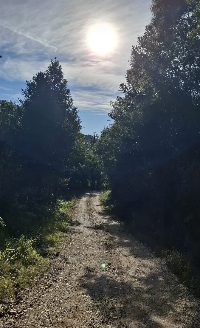 Estrada na Área Externa ao entardecer
