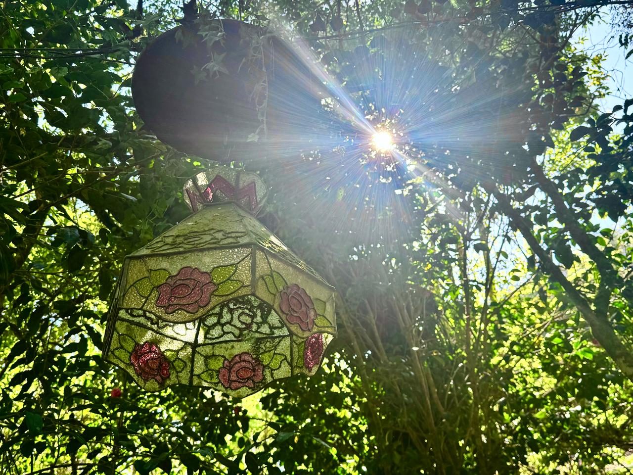 Área Externa e Trilhas na Floresta