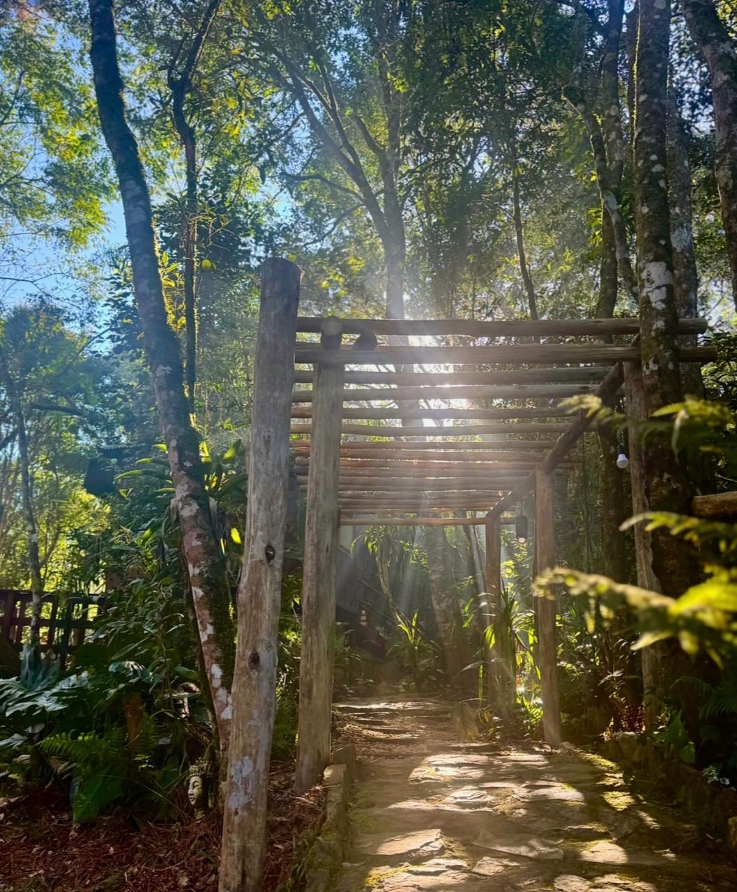Área Externa e Trilhas na Floresta
