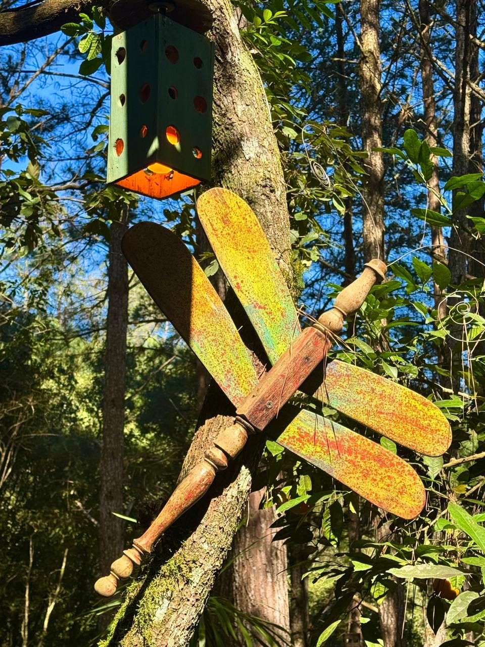 Área Externa e Trilhas na Floresta