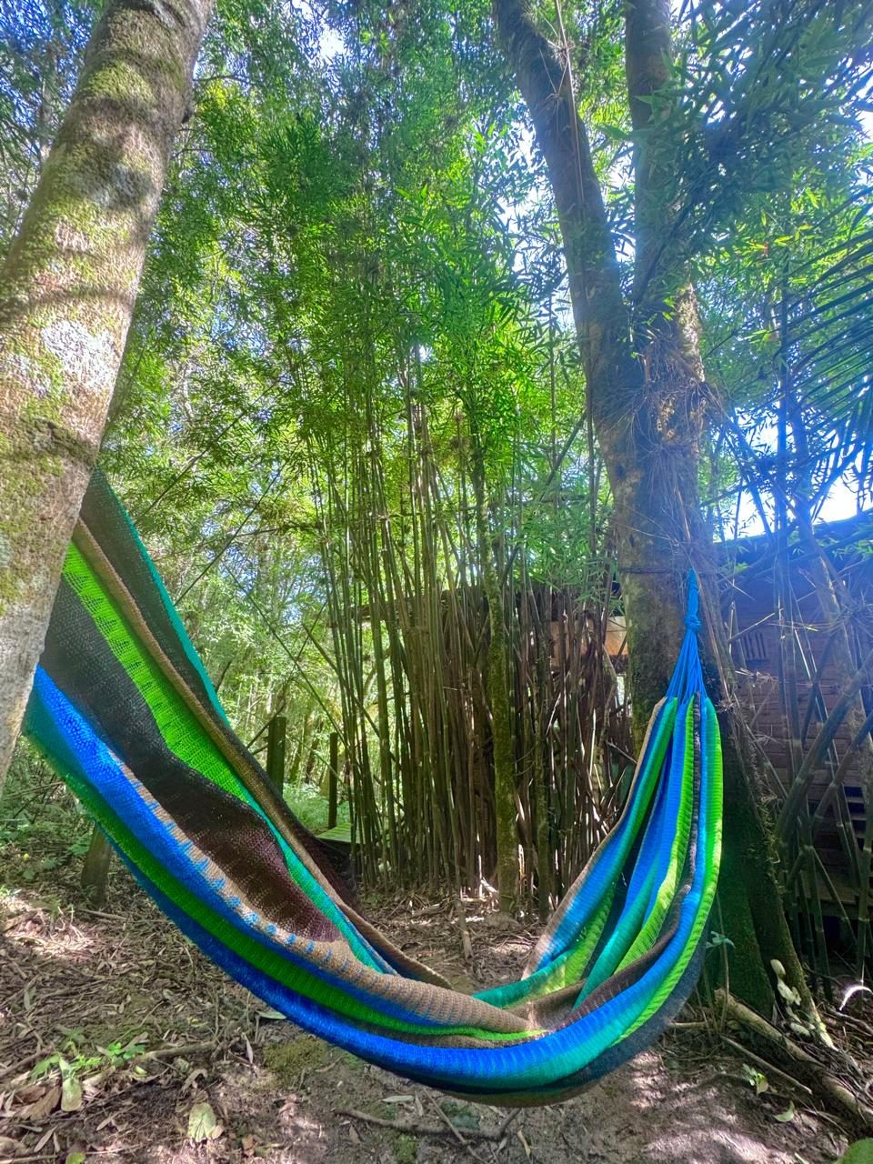 Área Externa e Trilhas na Floresta