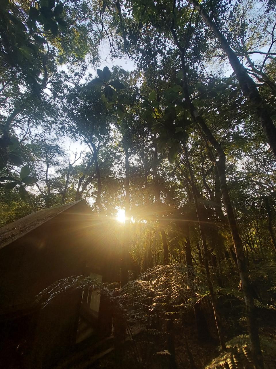 Área Externa e Trilhas na Floresta