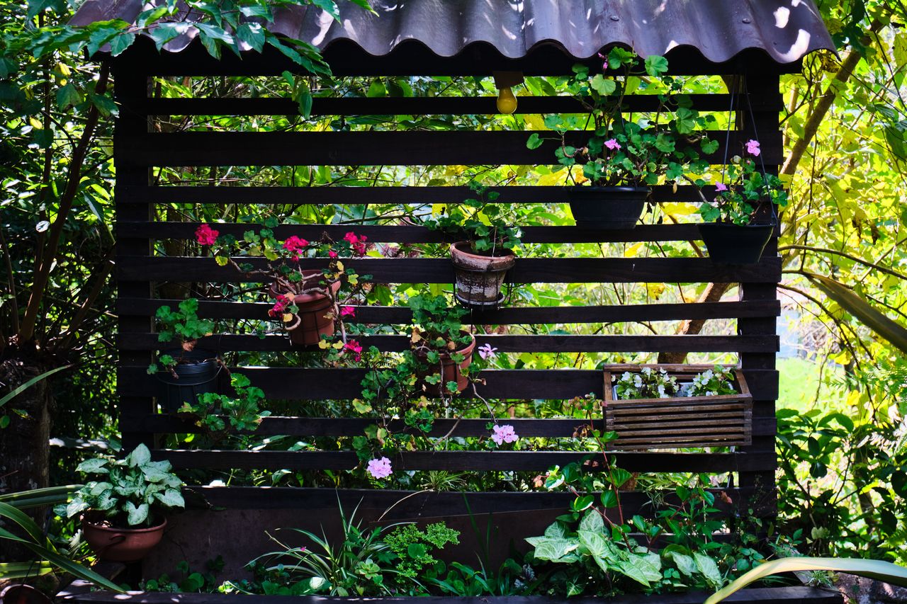 Jardim floral da frente