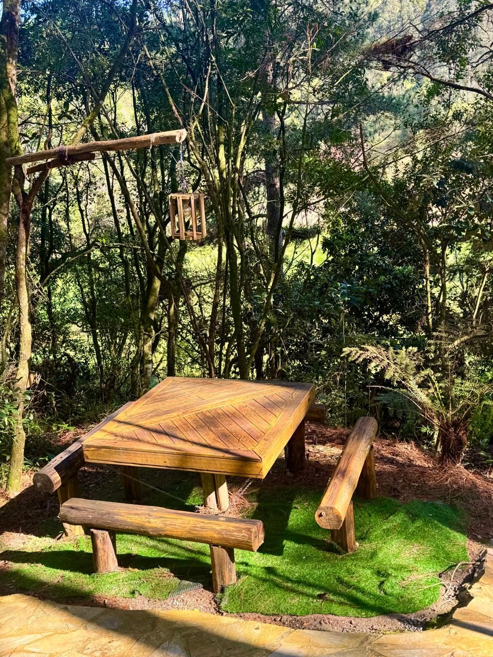 Área Externa e Trilhas na Floresta