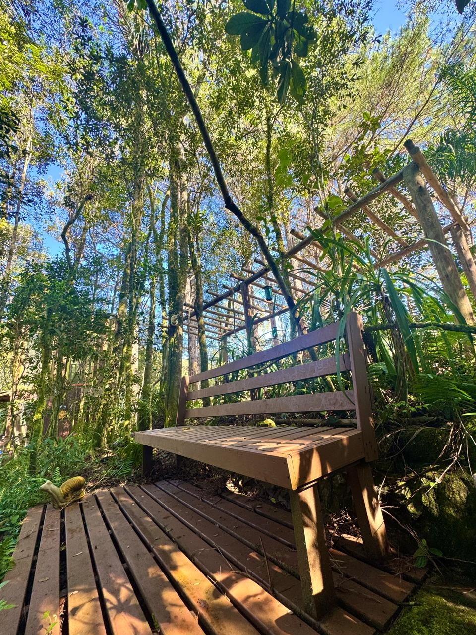 Área Externa e Trilhas na Floresta