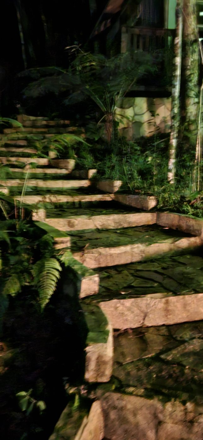 Área Externa e Trilhas na Floresta