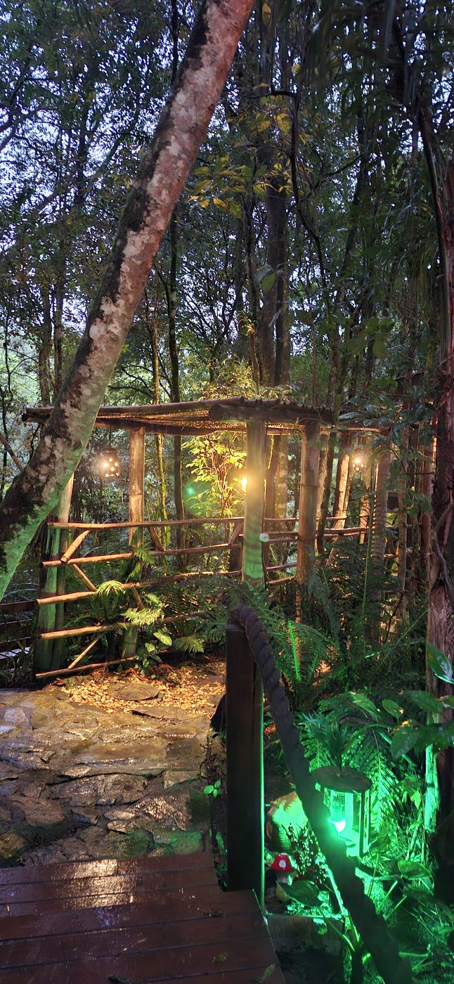 Área Externa e Trilhas na Floresta