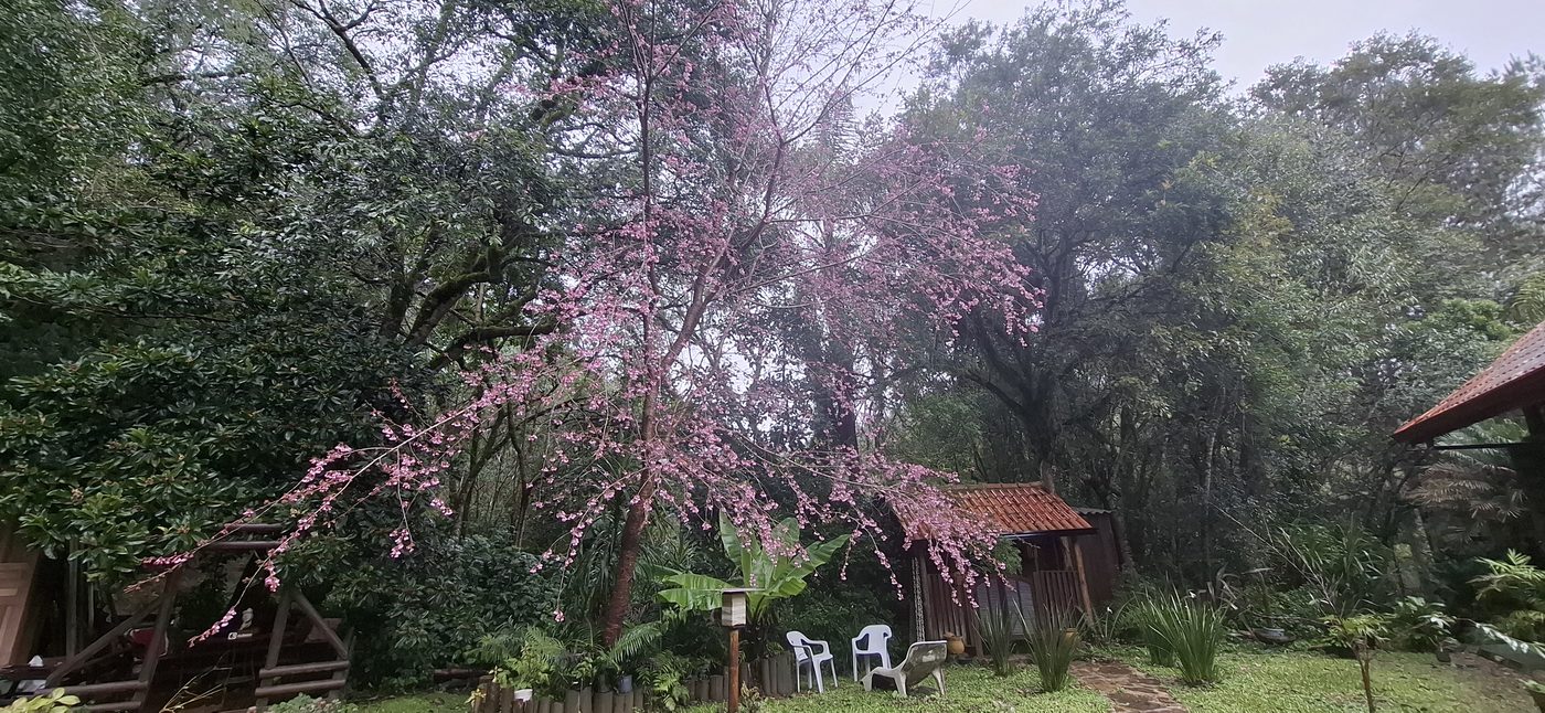 Área Externa e Trilhas na Floresta