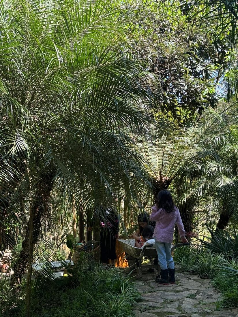 Caminho na Área Externa do Mauna Floresta
