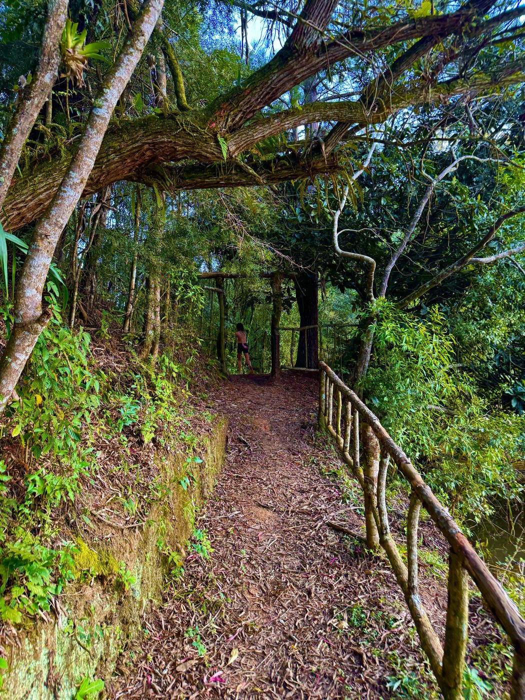 Área Externa e Trilhas na Floresta