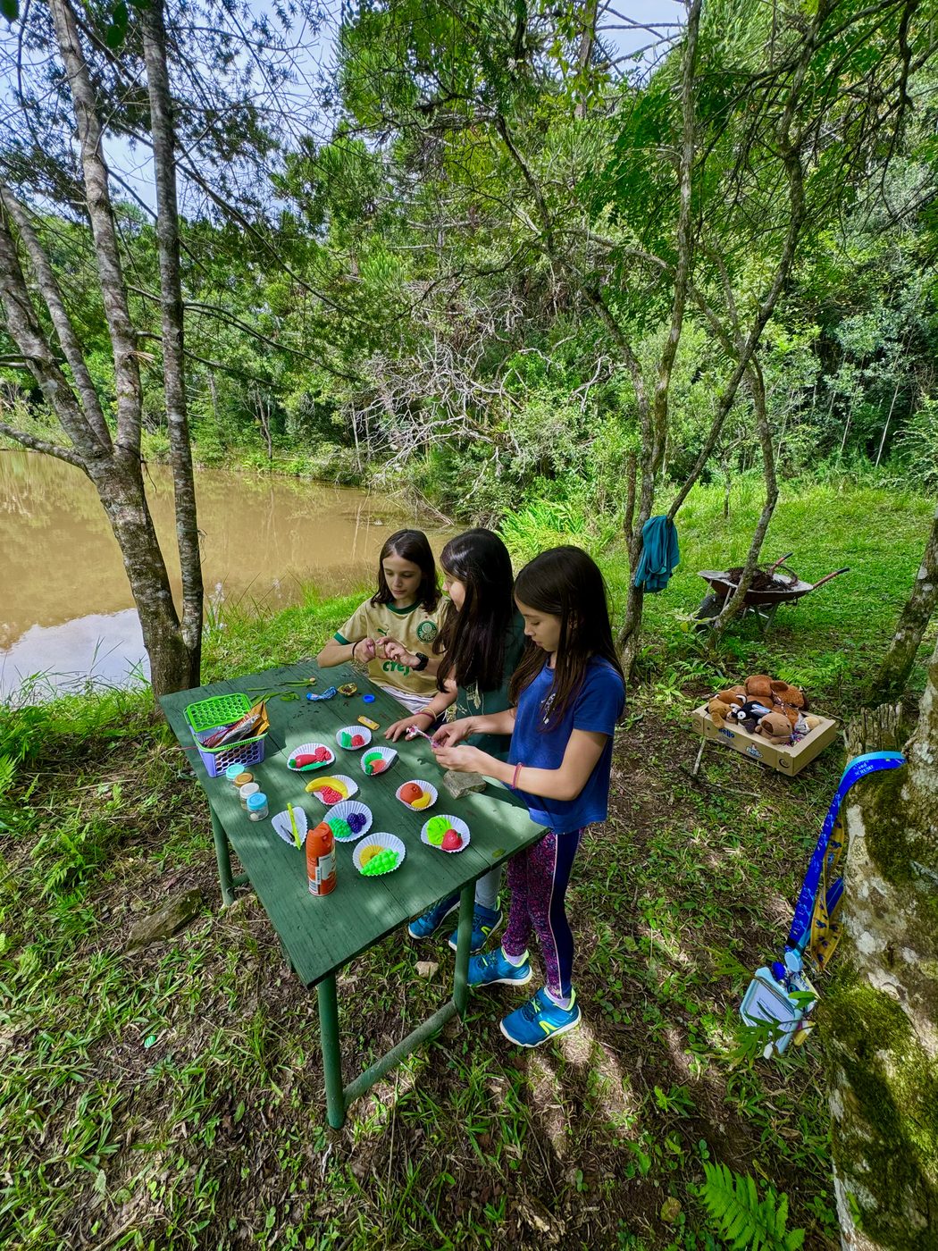 Área Externa e Trilhas na Floresta